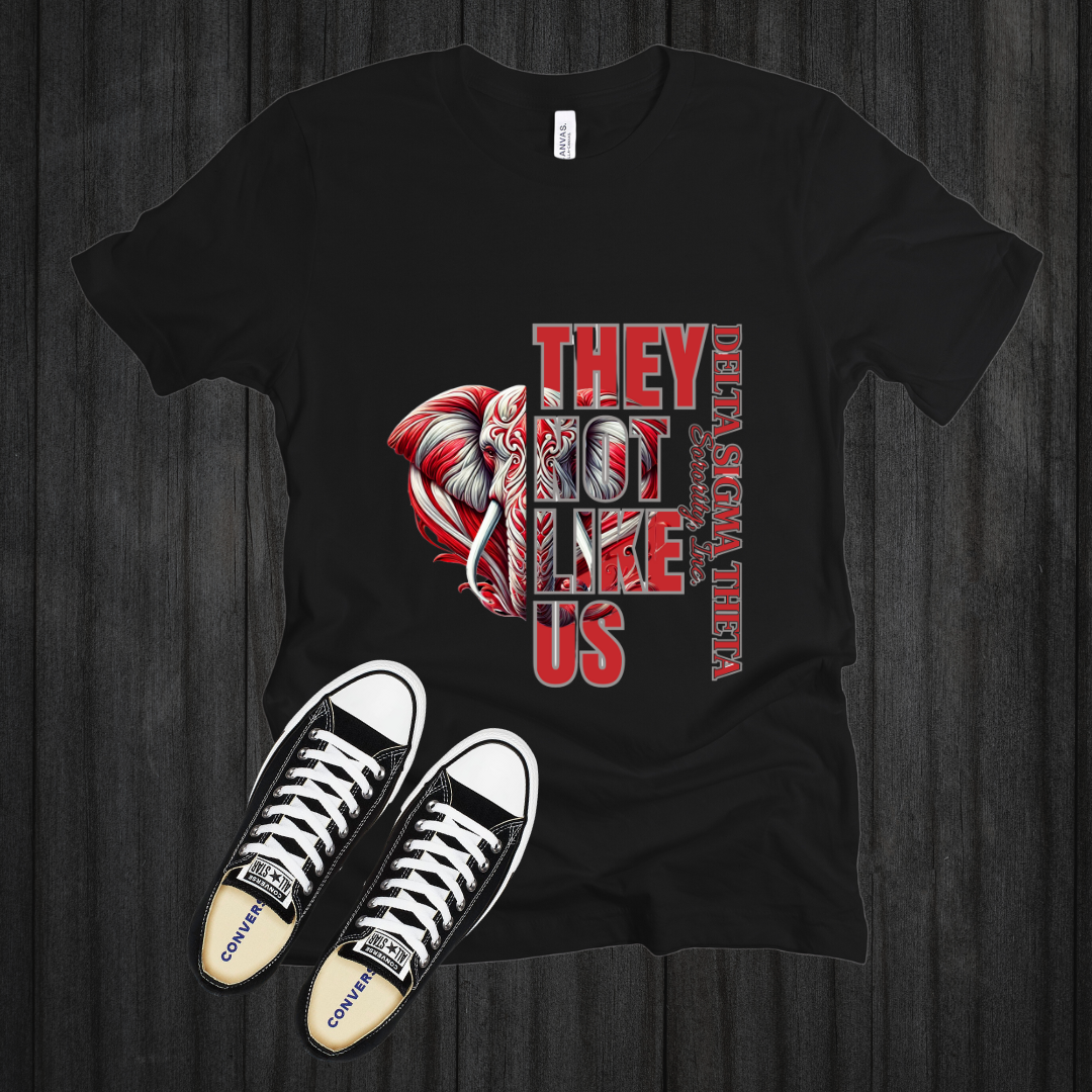 TWO DELTA SIGMA THETA They Not Like Us Split Design