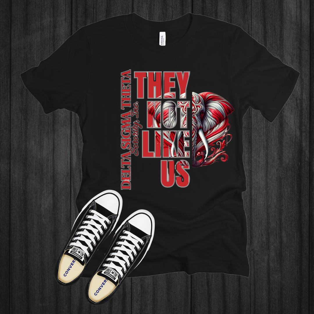 TWO DELTA SIGMA THETA They Not Like Us Split Design