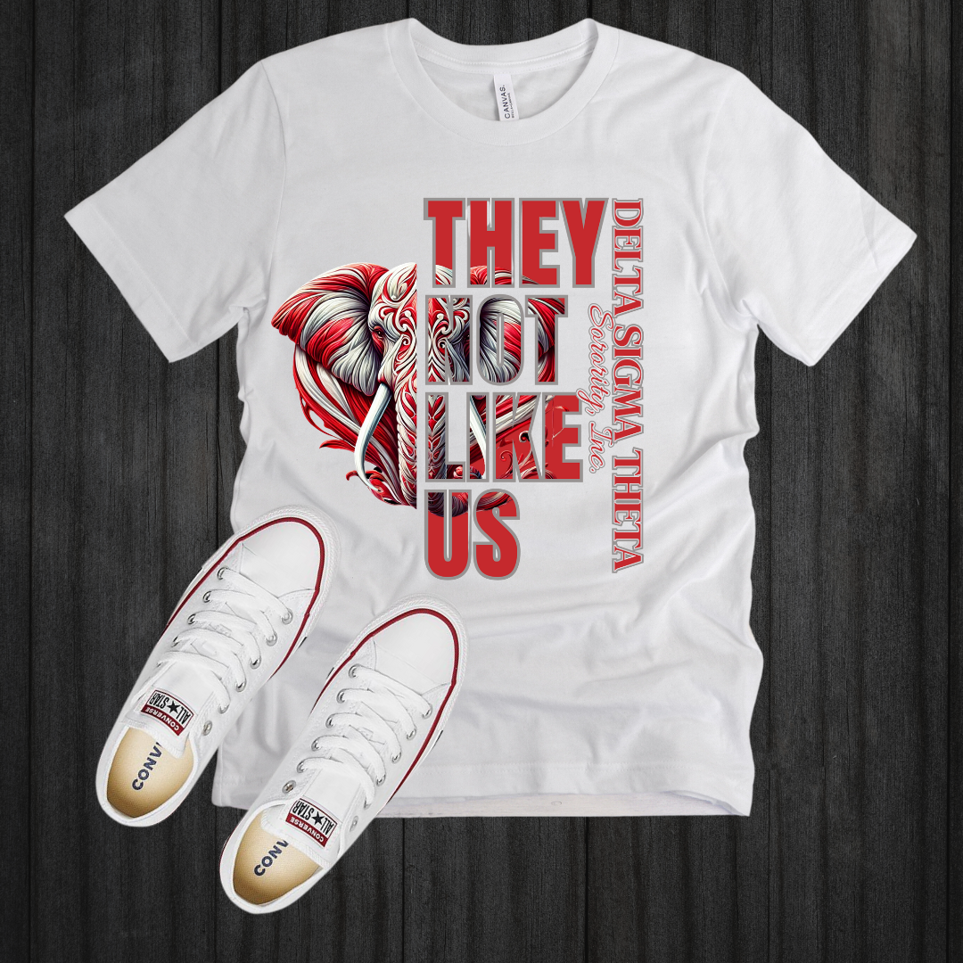 TWO DELTA SIGMA THETA They Not Like Us Split Design