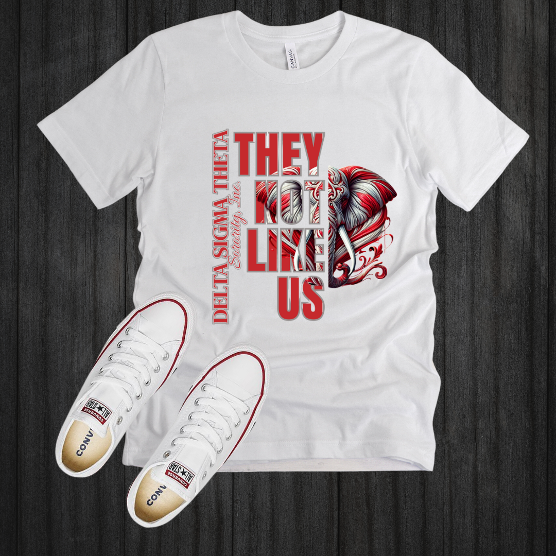 TWO DELTA SIGMA THETA They Not Like Us Split Design