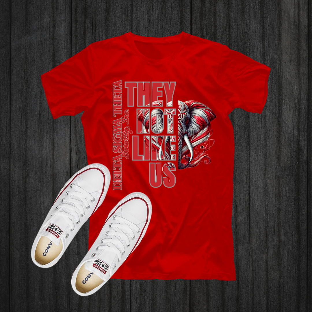 TWO DELTA SIGMA THETA They Not Like Us Split Design